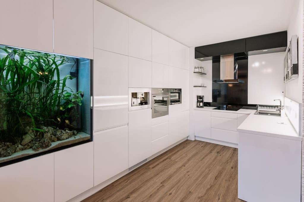 Family Aquarium Haven Apartment Bratislava Ngoại thất bức ảnh